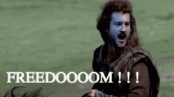 Braveheart Freedom Mel Gibson Face Swap GIF