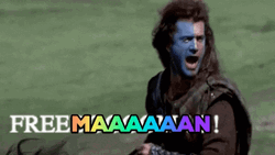 Braveheart Freedom Mel Gibson Freeman Meme GIF