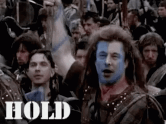 Braveheart Hold By Hogdexter Elon Musk GIF