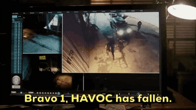 Bravo 1 Havoc Fallen on Computer Monitor