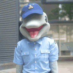 Bravo Zulu Coast Guard GIF