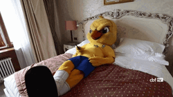 Brazil Bird Mascot Chilling In Bed GIF