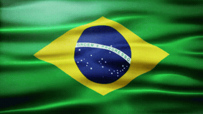 Brazil Flag Ordem E Progresso GIF