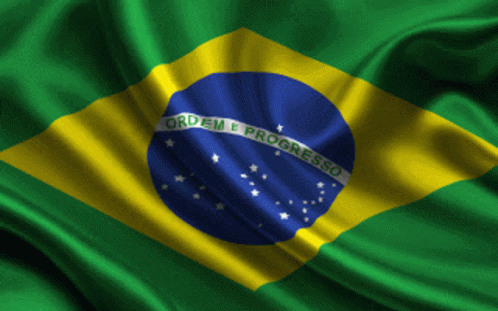 Brazil Flag Ordem E Progresso GIF