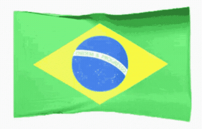 Brazil Flag Ordem Progresso GIF