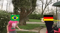 Brazil Meme Flag Fighting With Germany GIF