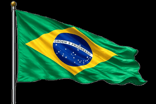 Brazilian Flag Ordem E Progresso GIF