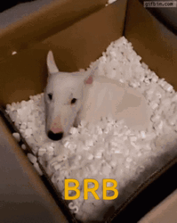 Brb Walter Dog Disappearing GIF