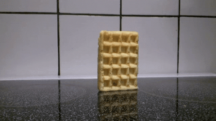 Bread Falling Over Gfycat Reveal GIF