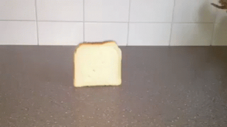 Bread Falling Over Roblox Laughing Meme GIF