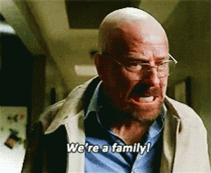 Breaking Bad We Are Family GIF