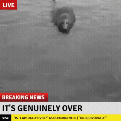 Breaking News It's Genuinely Over GIF