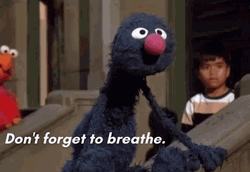 Breathe Inhale Exhale In Out Grover