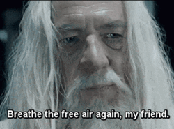 Breathe The Free Air Again My Friend Gandalf