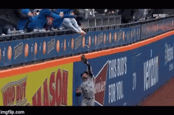 Brewers Catcher Gets Wet GIF