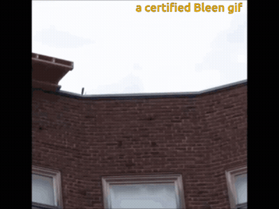Brick Building With Certified Bleen GIF