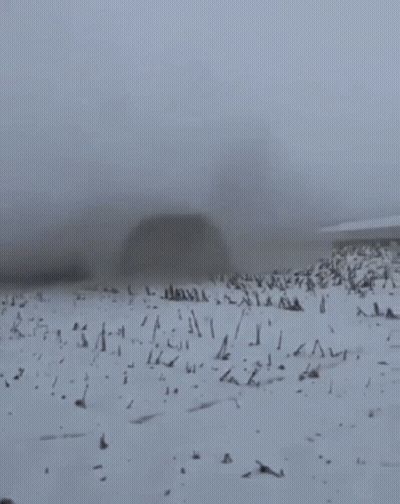 Brick On Snowy Field GIF