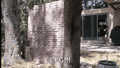 Brick Wall Saying LFG GIF