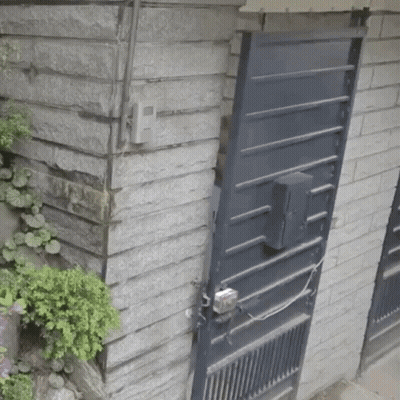 Brick Wall With Black Door And Plant GIF