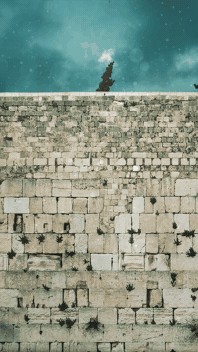Brick Wall With Tree And Blue Sky GIF