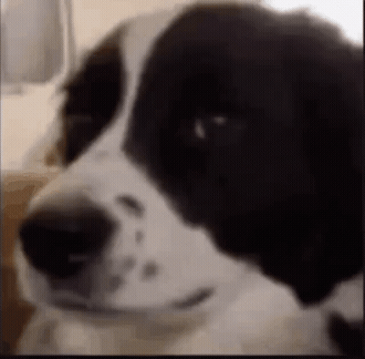 Bride And Groom 2 Days Until Wedding Week GIF