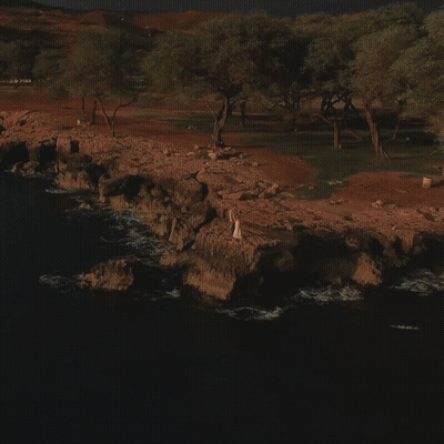 Bride And Groom Holding Hands GIF