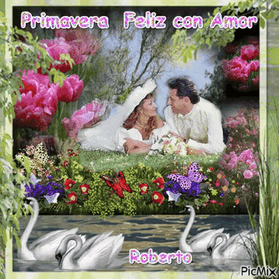 Bride And Groom In Garden With Swans GIF