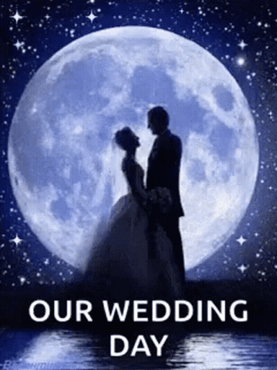 Bride And Groom In White Lace Dress GIF