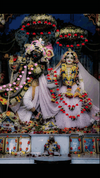 Bride And Groom Statue In Temple With Radha Krishna GIF