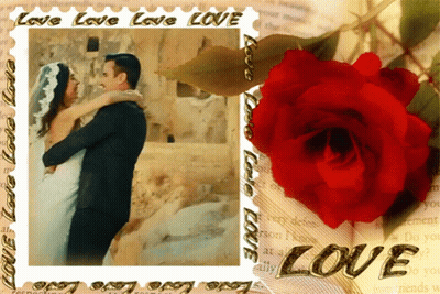Bride And Groom Surrounded By Love GIF