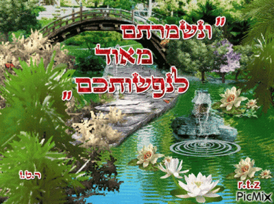 Bridge And River In Park With Flowers Trees GIF