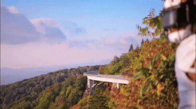 Bridge Over Mountain With Trees GIF