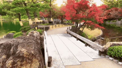 Bridge Over Water In Park With Red Trees GIF