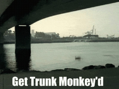 Bridge Over Water With Get Trunk Monkey'd GIF