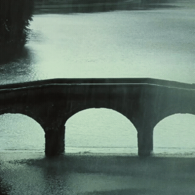 Bridge Over Water With Trees GIF