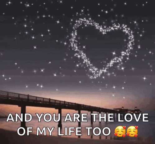 Bridge With Love Of My Life Too GIF