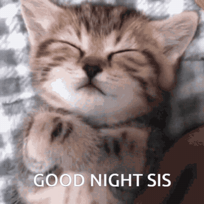 Bridge With Star Heart Good Night Honey GIF