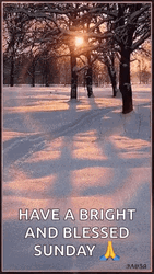 Bright And Blessed Sunday Sunrise GIF