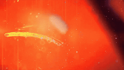 Bright Orange Background With Yellow Brush Stroke GIF