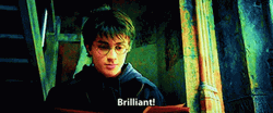 Brilliant Daniel Radcliffe GIF