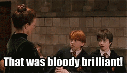 Brilliant Ron Weasley GIF
