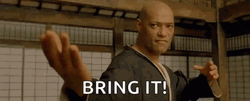 Bring It Kung Fu GIF