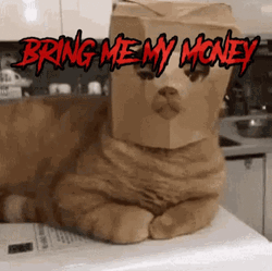Bring Me My Money Thug Cat