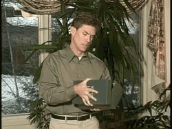 British Bush Shoe GIF