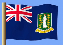 British Virgin Islands Flag Blue Background GIF