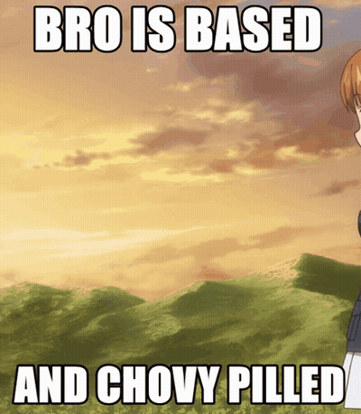 Bro Is Based And Chovy Pilled Meme GIF