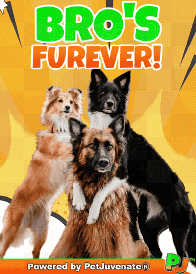 Bro 'S Furever Is Powered By Petjuvenate GIF