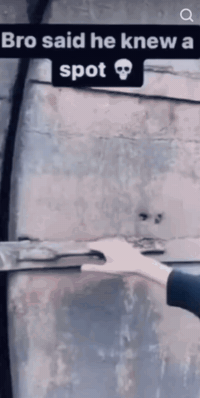 Bro Said He Knew A Spot With Skull GIF