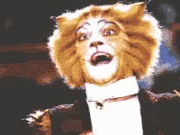 Broadway Cats Skimbleshanks  GIF