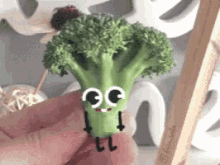 Broccoli Hair Cut